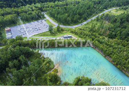 北海道 美瑛の「白金青い池」を空撮 北海道 美瑛の「白金青い池」を空撮 107231712