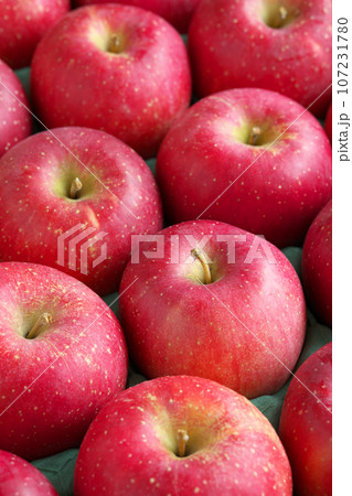 リンゴ(涼香の季節) リンゴ(涼香の季節) 107231780