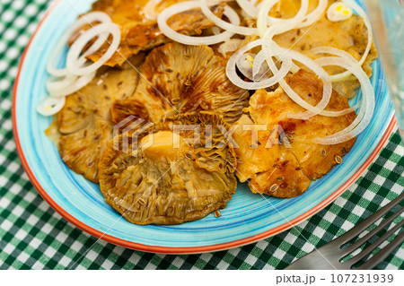 Homemade marinated white brittlegill mushrooms with onion Homemade marinated white brittlegill mushrooms with onion 107231939