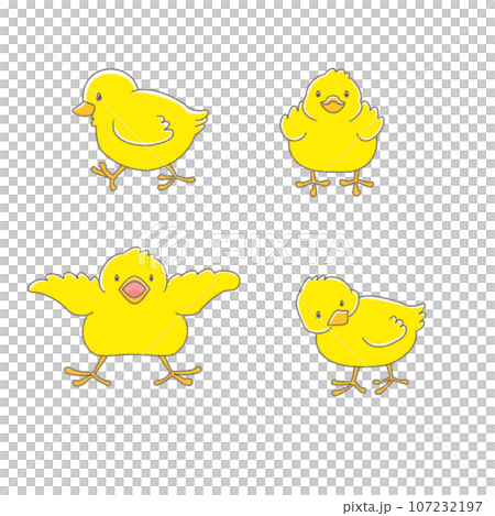 Cute chick set Cute chick set 107232197