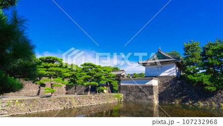 皇居外苑　桔梗門（ききょうもん） 107232968