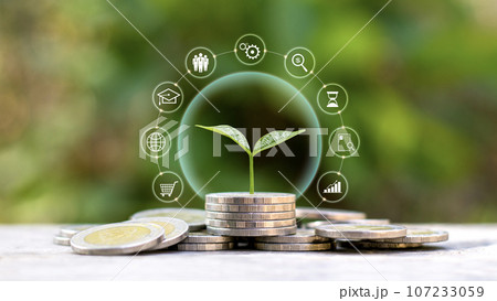 Tree growing on a pile of coins and finance, investment icons with the concept of financial system development and economic growth. 107233059