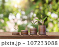 Coins and trees on the pile of coins with a blurred green background. 107233088