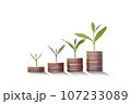 Plant growth on coin on white background business start idea and business building to success. 107233089