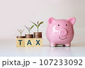 Tree growing on coins and tax message on wooden block Concepts for planning tax reductions, expenses, accounting, VAT, income tax, and tax calculations. 107233092