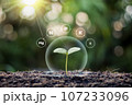 Seedlings grow from fertile soil. ecology concept. 107233096