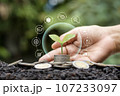 Tree on money and finance icon. Concept of money growth, business, and investment. 107233097