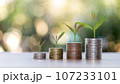 Coins and money growing on a pile of coins. Concept of finance, banking and saving money. 107233101