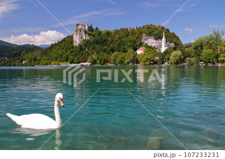 南欧スロヴェニアのブレッド湖　エメラルドグリーンの湖面を泳ぐ白鳥と湖岸の断崖の上に建つブレッド城 107233231