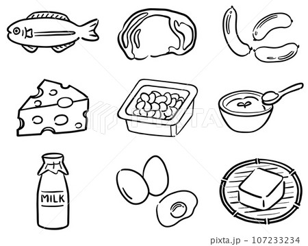 タンパク質　イラストセット　栄養　1色 107233234