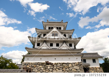郡上八幡上と空。そびえたつ山城 107233239