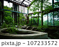 緑に囲まれた廃墟のプール 107233572