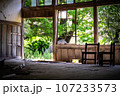 廃墟の学校 107233573