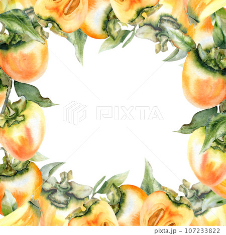 Watercolor fresh persimmons square frame for package, logo, greetimng card, invitation design. Hand drawn parsimmons and leaves Watercolor fresh persimmons square frame for package, logo, greetimng card, invitation design. Hand drawn parsimmons and leaves 107233822