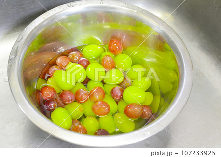 シャインマスカット 水洗い シャインマスカット 水洗い 107233925