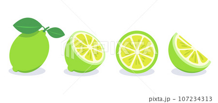 Set of green lemon vector illustration Set of green lemon vector illustration 107234313