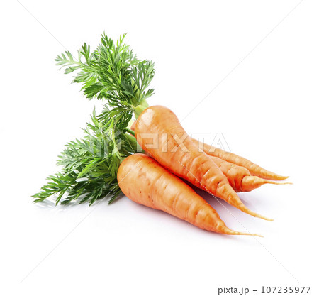 Carrots on white backgrounds. 107235977