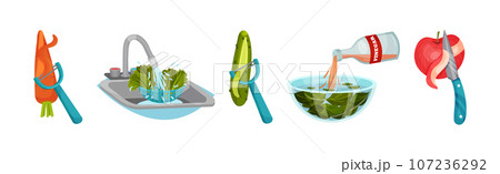Vegetables Cooking with Water Steeping and Peeling Process Vector Set Vegetables Cooking with Water Steeping and Peeling Process Vector Set 107236292
