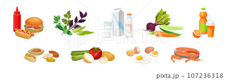 Food Product and Goods from Market Composition Vector Set 107236318
