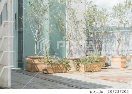 屋上緑化・屋上庭園・都会的なビルの屋上・屋上ガーデン・エクステリア 107237206