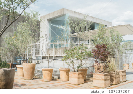 屋上緑化・屋上庭園・都会的なビルの屋上・屋上ガーデン・エクステリア 107237207