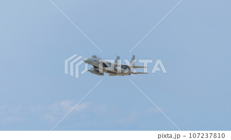 航空自衛隊第304飛行隊F-15Jイーグル 107237810