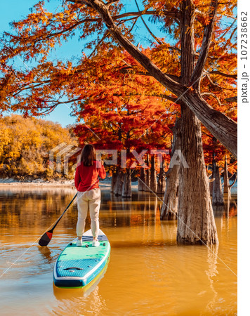 SUP board concept - Woman paddle boarding on a lake with trees in warm late morning light SUP board concept - Woman paddle boarding on a lake with trees in warm late morning light 107238662