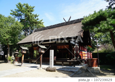晩夏の住吉大社 摂社 大海神社 晩夏の住吉大社 摂社 大海神社 107239029
