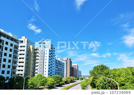 爽やかな青空とマンション 爽やかな青空とマンション 107239069