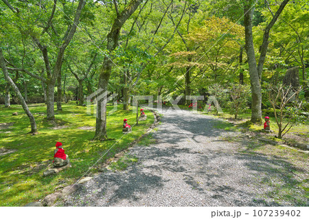 【大寧寺】 山口県長門市深川湯本門前 【大寧寺】 山口県長門市深川湯本門前 107239402