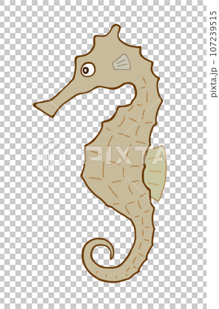タツノオトシゴのイラスト 107239515
