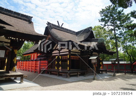 晩夏の住吉大社　国宝の本殿 107239854