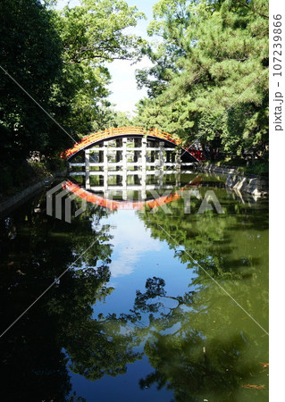 晩夏の住吉大社 象徴の太鼓橋 晩夏の住吉大社 象徴の太鼓橋 107239866