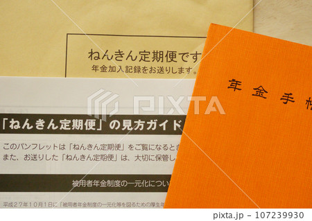 年金手帳とねんきん定期便のガイド 年金手帳とねんきん定期便のガイド 107239930