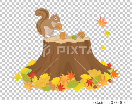 Stump and squirrel_autumn image 107240105