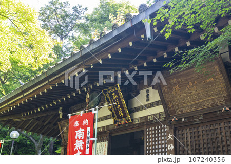 京都　今熊野観音寺　大師堂　新緑の季節 107240356