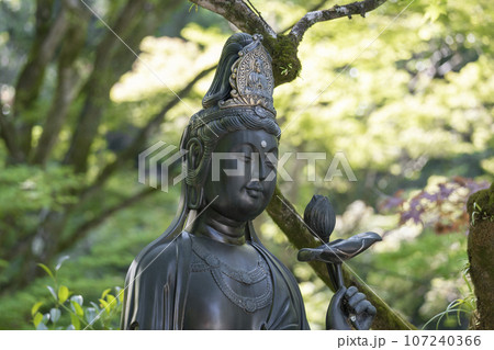 京都 今熊野観音寺 ぼけ封じ観音 新緑の季節 京都 今熊野観音寺 ぼけ封じ観音 新緑の季節 107240366