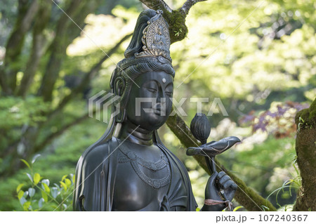 京都　今熊野観音寺　ぼけ封じ観音　新緑の季節 107240367
