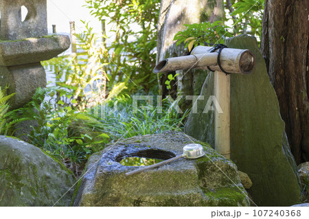京都　今熊野観音寺　手水　新緑の季節 107240368