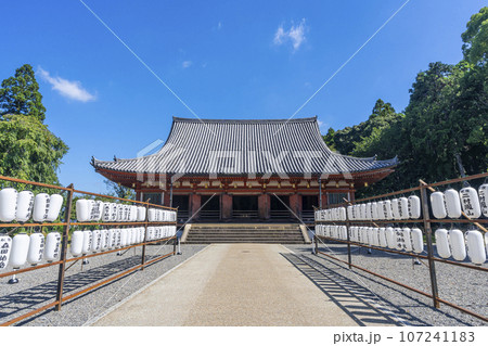 京都　醍醐寺　金堂　夏の季節 107241183