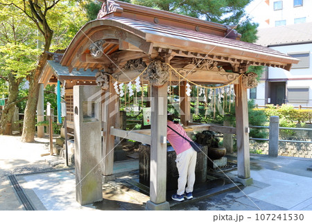 松戸神社　おみくじ　手水舎　寛永3年（1626年）千葉県松戸市松戸 107241530