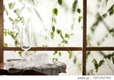 A window view of green leaves in the afternoon sunlight. 107242701