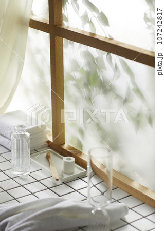A window view of green leaves in the afternoon sunlight. 107242817