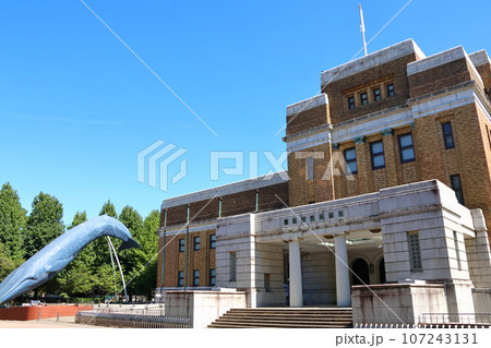 国立科学博物館 日本館 科博、かはく 東京都台東区上野公園 国立科学博物館 日本館 科博、かはく 東京都台東区上野公園 107243131