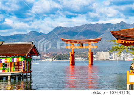 【世界遺産　嚴島神社】【安芸国一宮】新年の晴れた朝の社殿と大鳥居3　広島県廿日市市 107243136