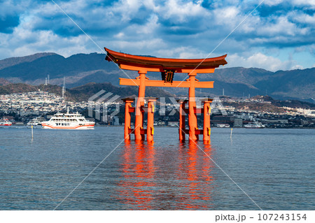 【世界遺産　嚴島神社】【安芸国一宮】晴れた新年の西松原から見た大鳥居4　広島県廿日市市 107243154
