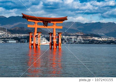 【世界遺産　嚴島神社】【安芸国一宮】晴れた新年の西松原から見た大鳥居5　広島県廿日市市 107243155