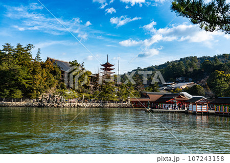 【世界遺産　嚴島神社】【安芸国一宮】晴れた新年の西松原から見た社殿と千畳閣と五重塔　広島県廿日市市 107243158