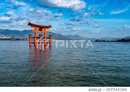 【世界遺産　嚴島神社】【安芸国一宮】晴れた新年の西松原から見た大鳥居6　広島県廿日市市 107243160