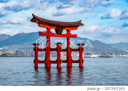 【世界遺産 嚴島神社】【安芸国一宮】晴れた新年の西松原から見た大鳥居9 広島県廿日市市 【世界遺産 嚴島神社】【安芸国一宮】晴れた新年の西松原から見た大鳥居9 広島県廿日市市 107243163